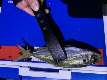 粭島大東漁港アジング