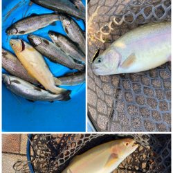 服部緑地　悟空さんとおしゃべり