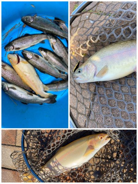 服部緑地　悟空さんとおしゃべり