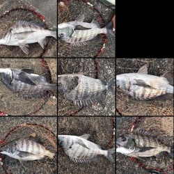 イチノ兄弟、釣果！