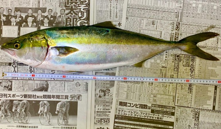 淡路島ジギング釣行