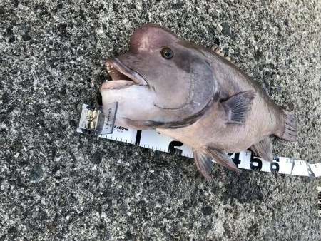 カンダイゲーム