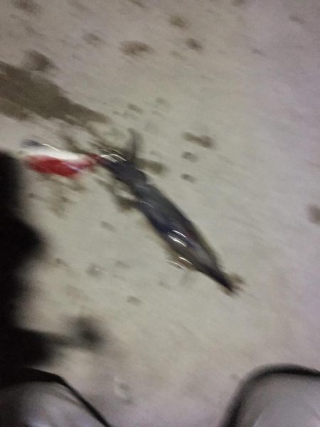 夜中3時からの釣り