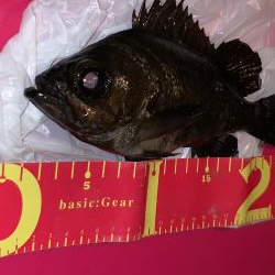 今日は超！渋かった！