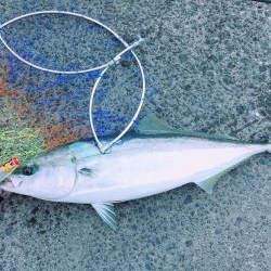 会議の前に大事件