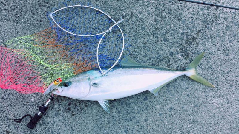 会議の前に大事件