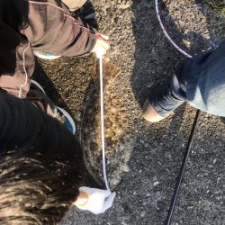 またお前か！2日連続で50up!