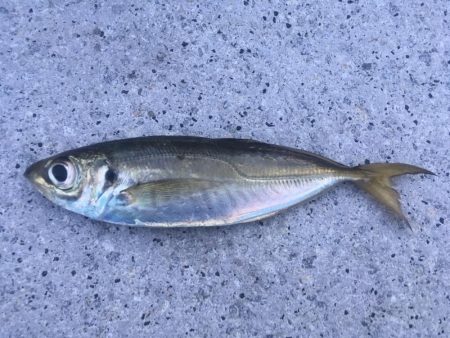 今シーズン1番の寒さ