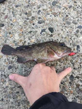 穴たと再会⁉︎