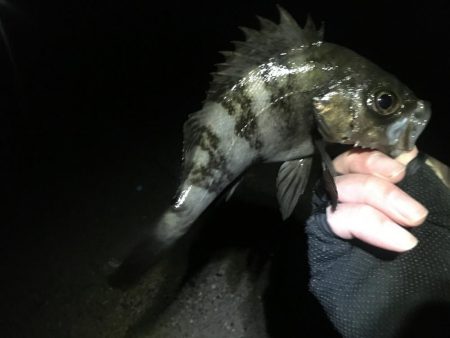 ２月もよろしくお願いします！！