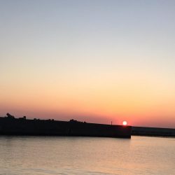 何とかコウちゃん