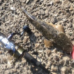 小場所ポイント炸裂