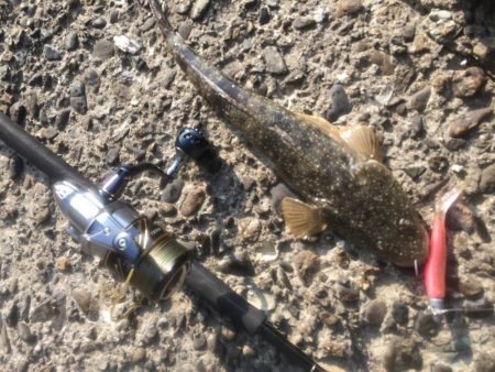 小場所ポイント炸裂