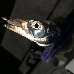 ライズの正体は…