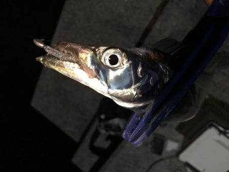 ライズの正体は…