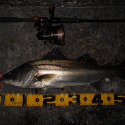 さむい…ちべた～い