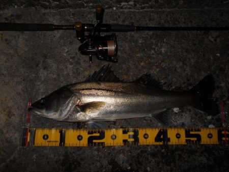 さむい…ちべた～い