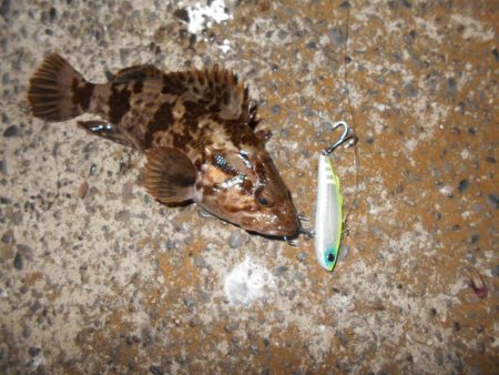 シーバス狙いだったが…