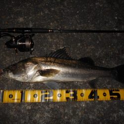 足元も忘れずに…