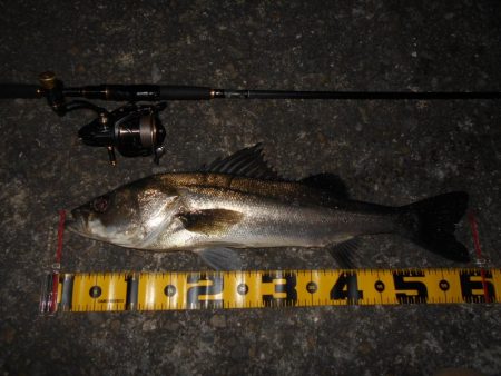 足元も忘れずに…