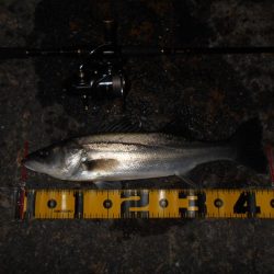 手こずらせやがって~!!