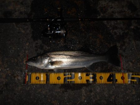 手こずらせやがって~!!