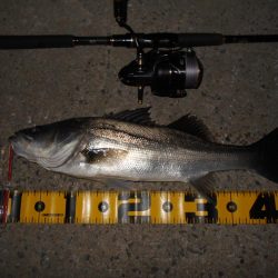 沈みテトラ付近でヒット