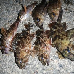 本日も荒れてます