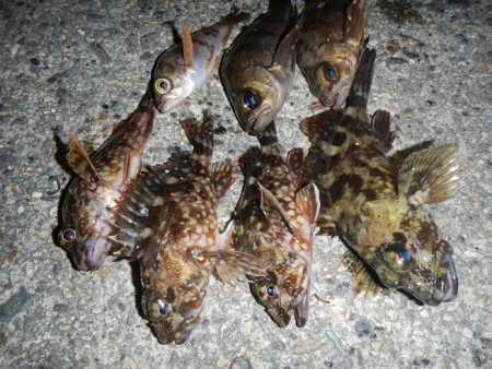 本日も荒れてます