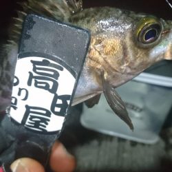 ボトム攻め！！