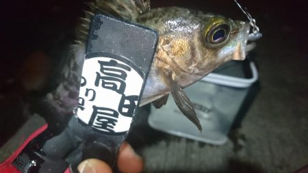 ボトム攻め！！