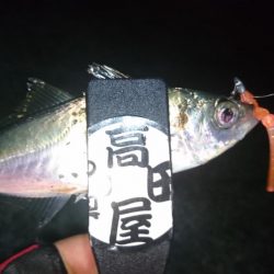 バレンタインアジ