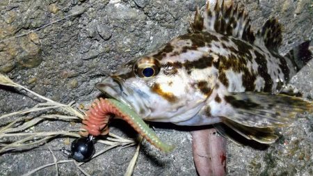 タケノコゲーム