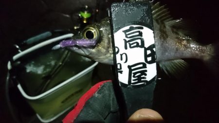 雨上がりにメバル！！