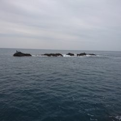 御五神でグレ釣り