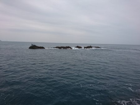 御五神でグレ釣り