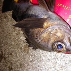 アフター回復中