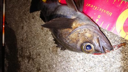 アフター回復中