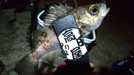 今夜もボトム！！