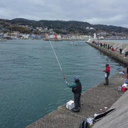 のませでメジローーーー!