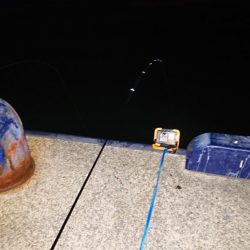 型が出ませんでした