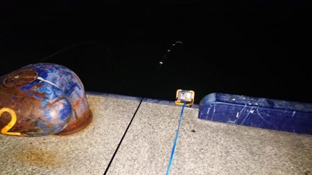 型が出ませんでした