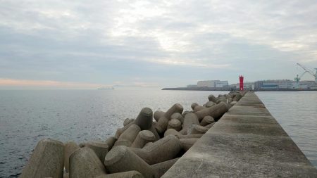 メバルよりもまだアジでした!