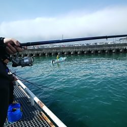 まだまだ釣れてるよ!