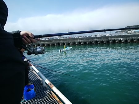 まだまだ釣れてるよ!