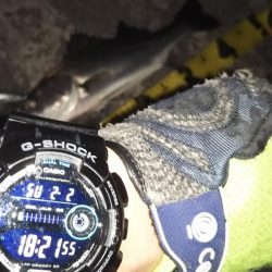 ぶらシーバス！！