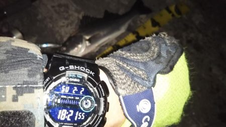 ぶらシーバス！！