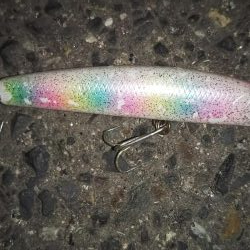 ぶらシーバス！！