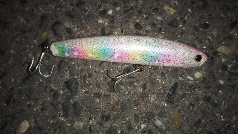 ぶらシーバス！！