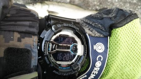 ぶらシーバス!!